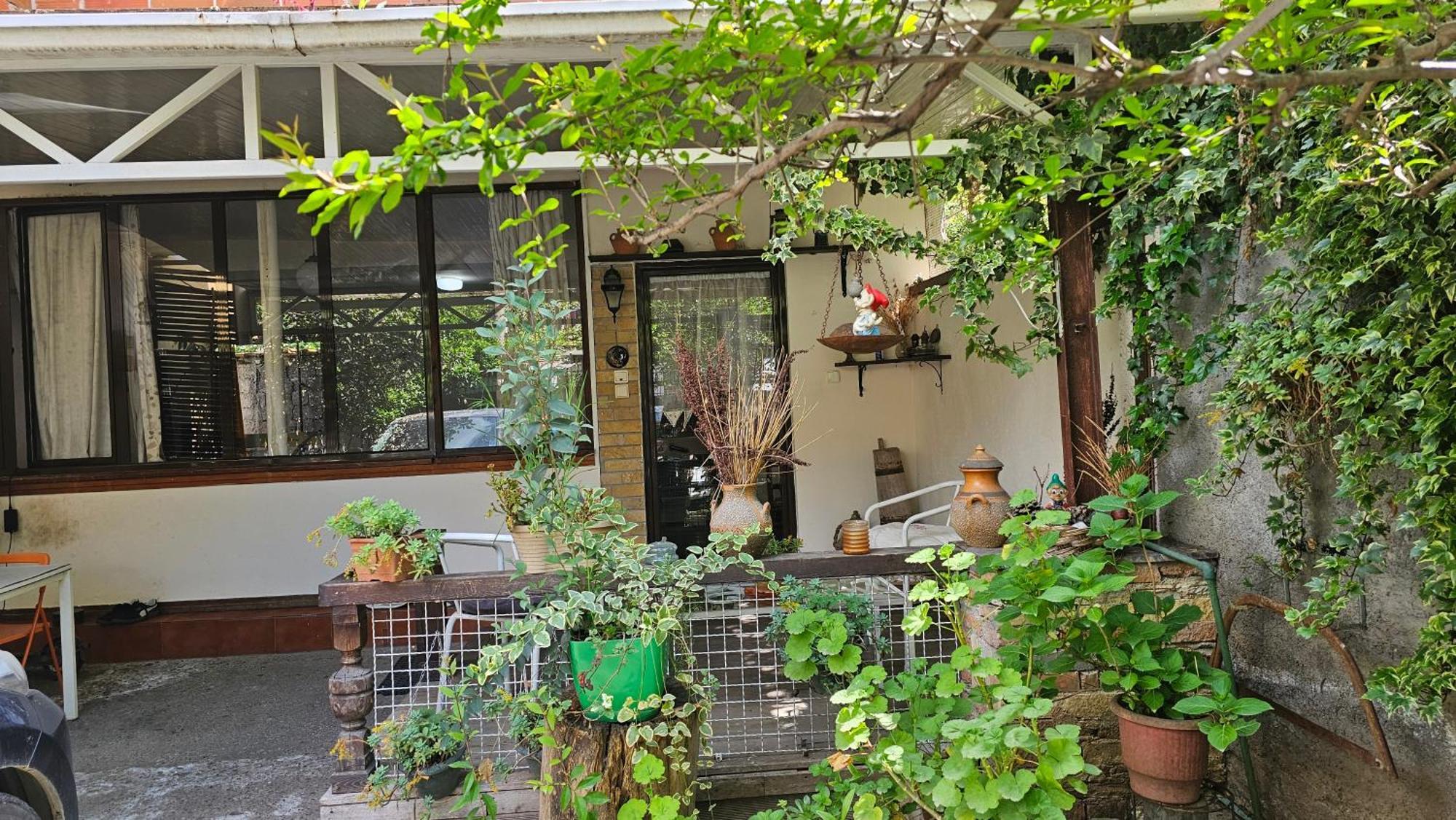 Homestay Angie's Shared Tam